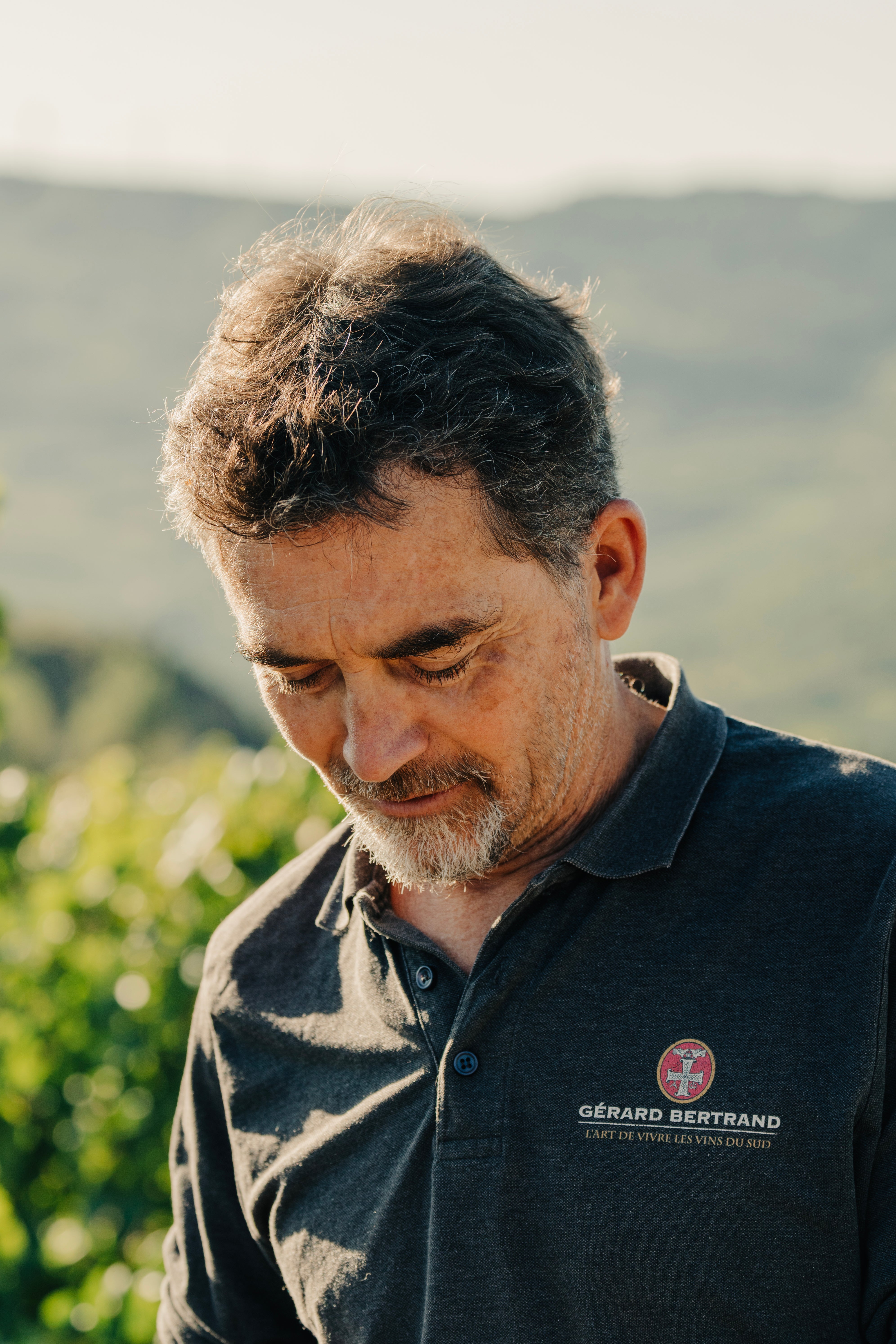 Vendanges 2025 au Domaine de l'Aigle : interview avec le régisseur