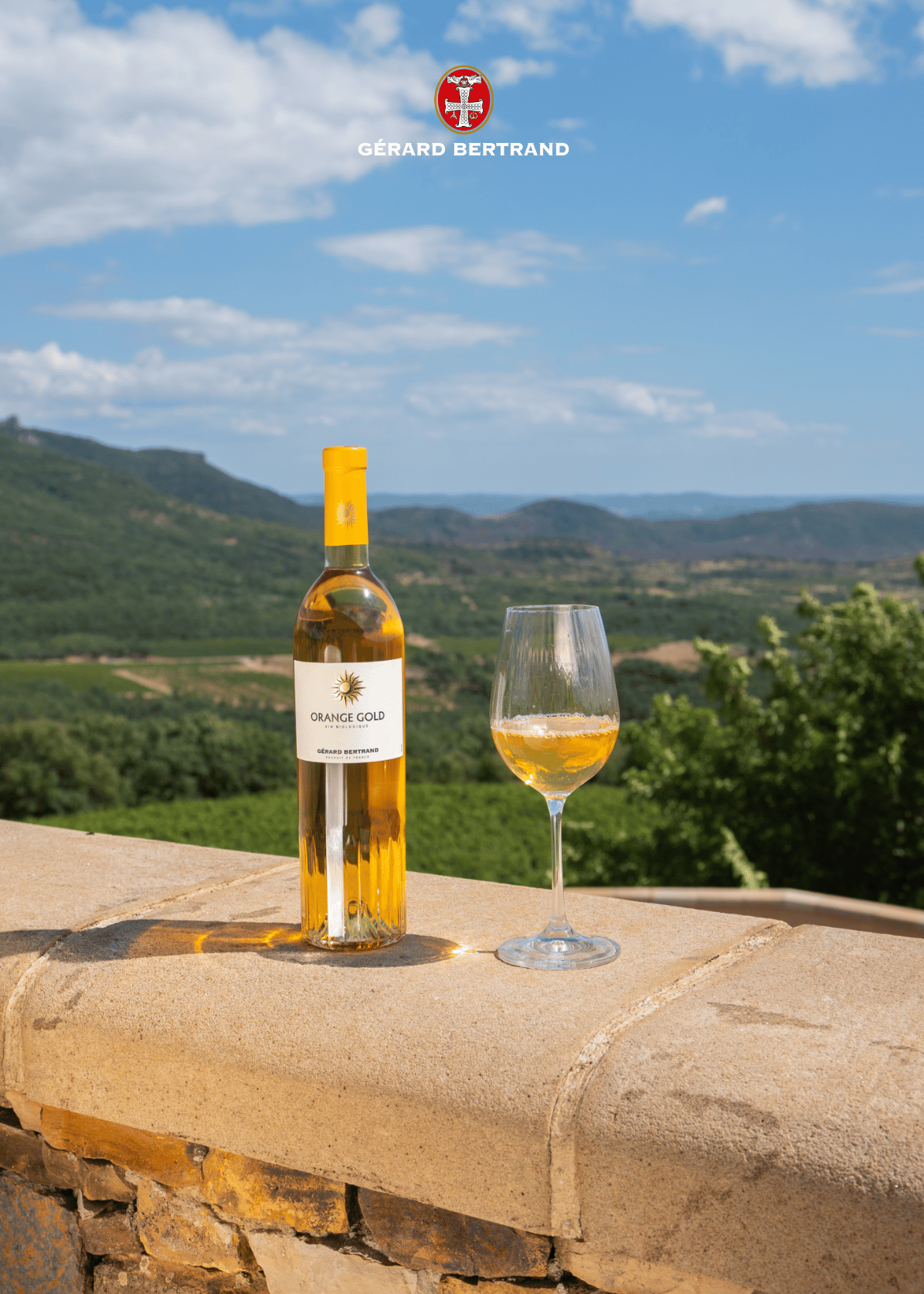 Un vin unique à découvrir : Orange Gold