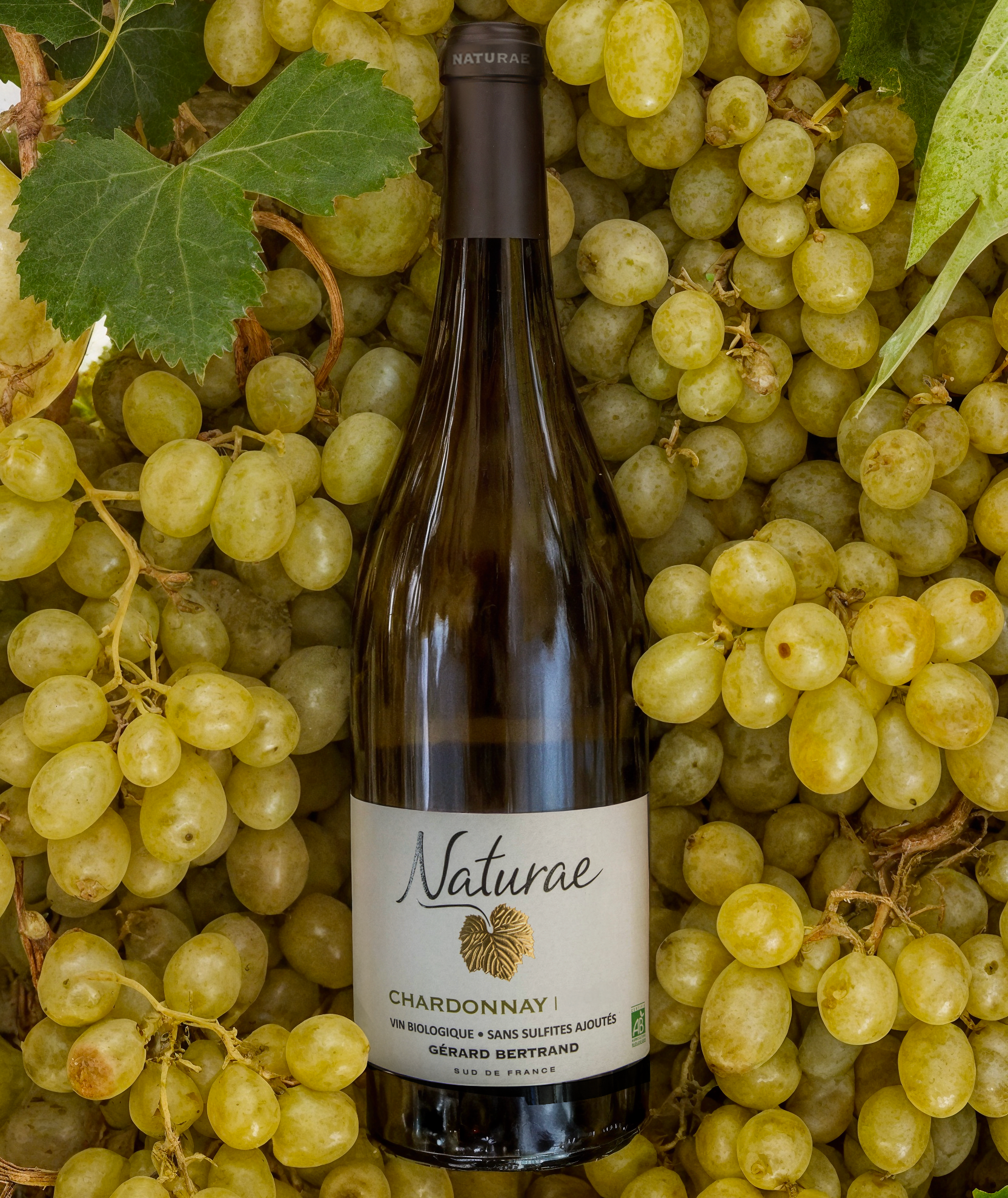 Naturae