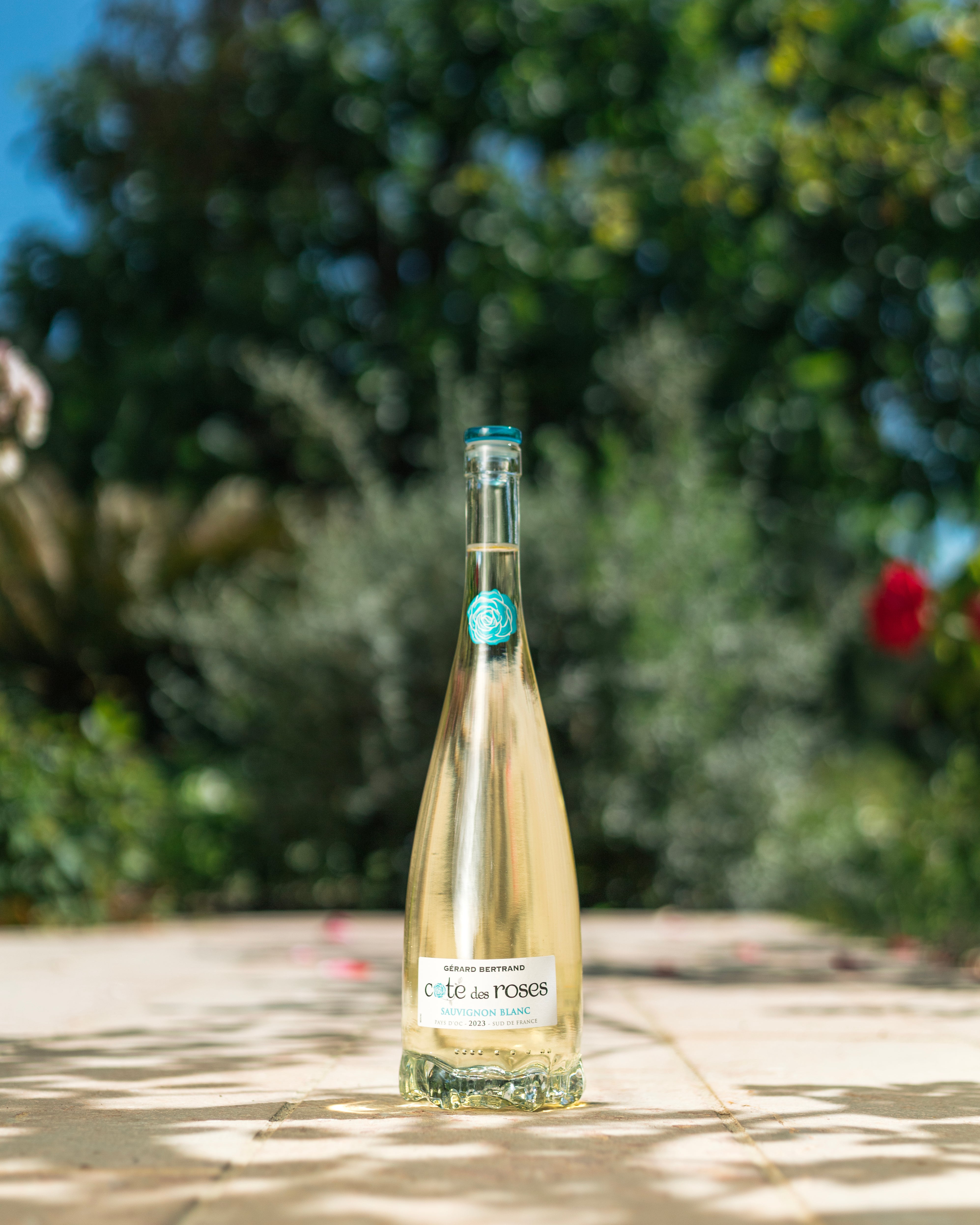 Cote des Roses Sauvignon Blanc 2023 Lot 6 Bouteilles 75cl - Gérard Bertrand