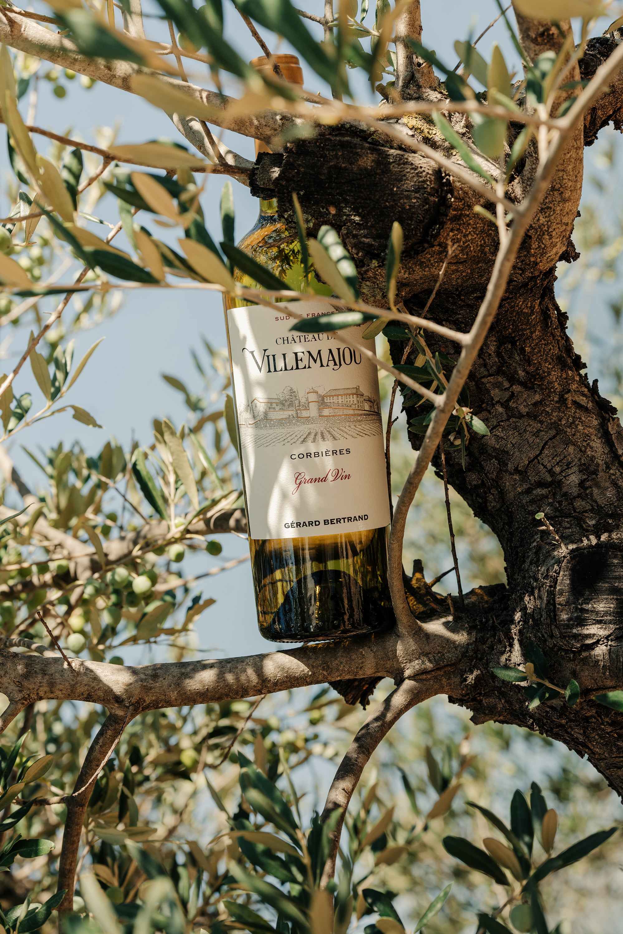 Château de Villemajou Grand Vin 2023 75cl vin blanc corbières