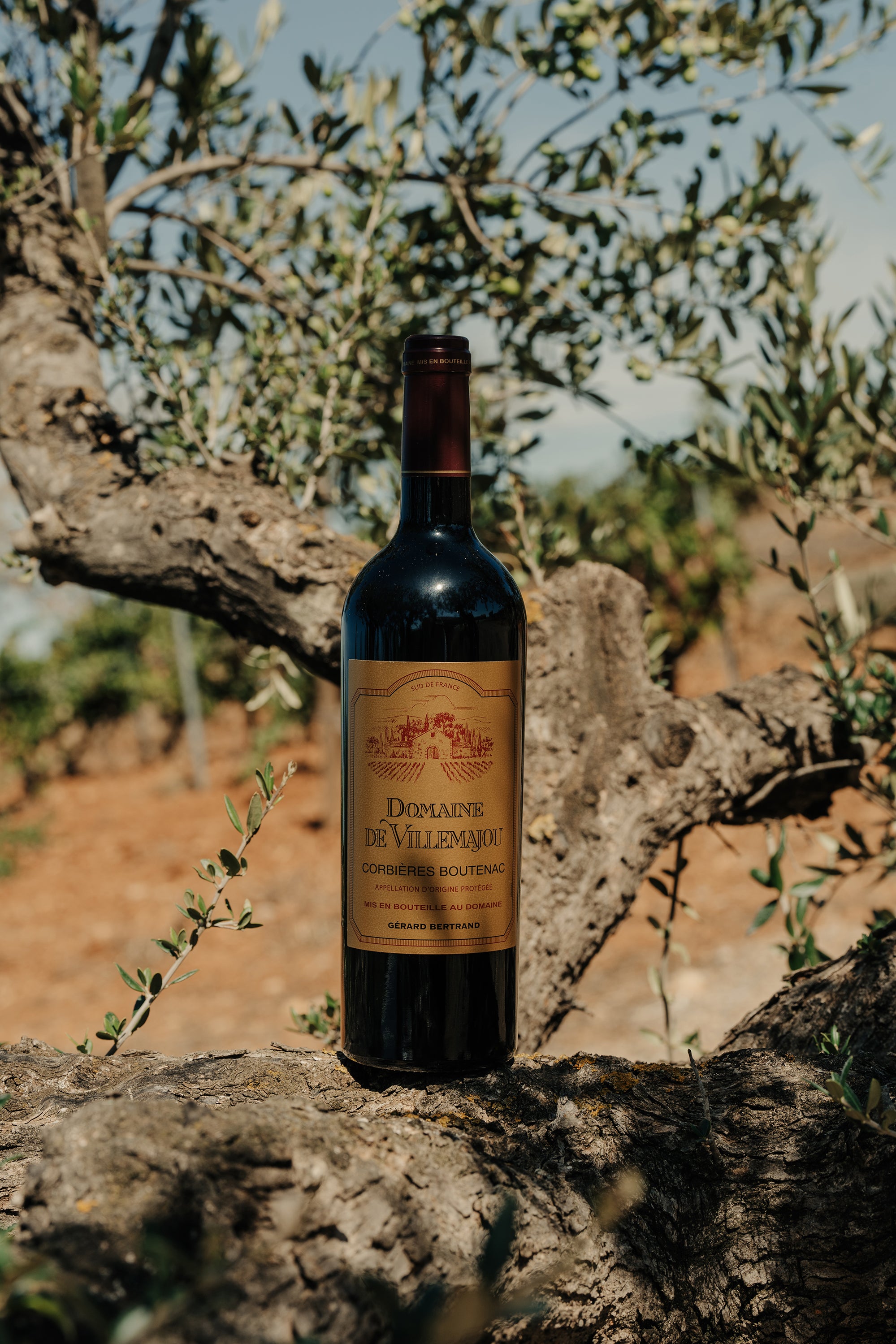 Domaine de Villemajou rouge 75cl 2022