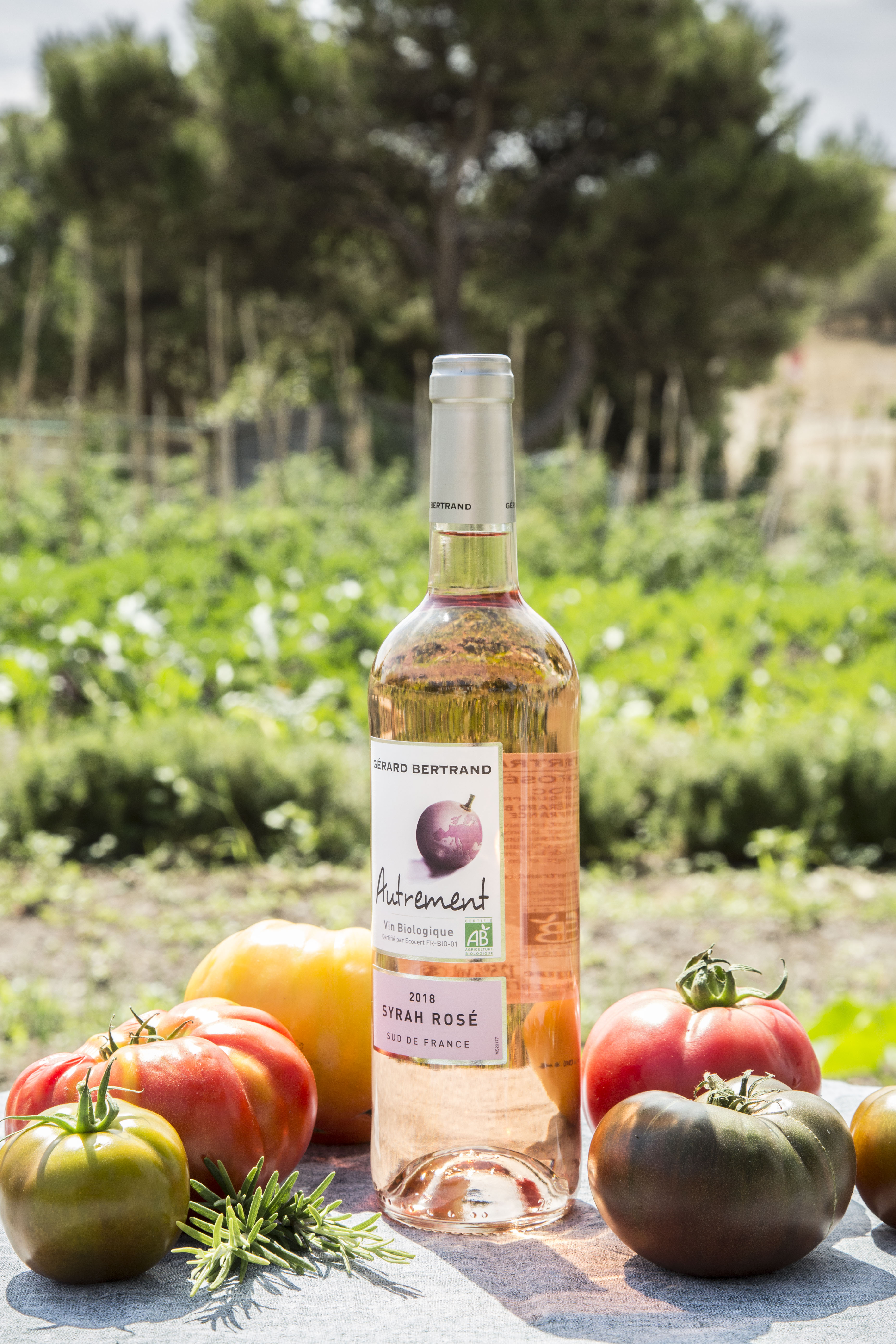 Autrement Grenache 2025 vin rosé bio Lot 6 bouteilles 75cl