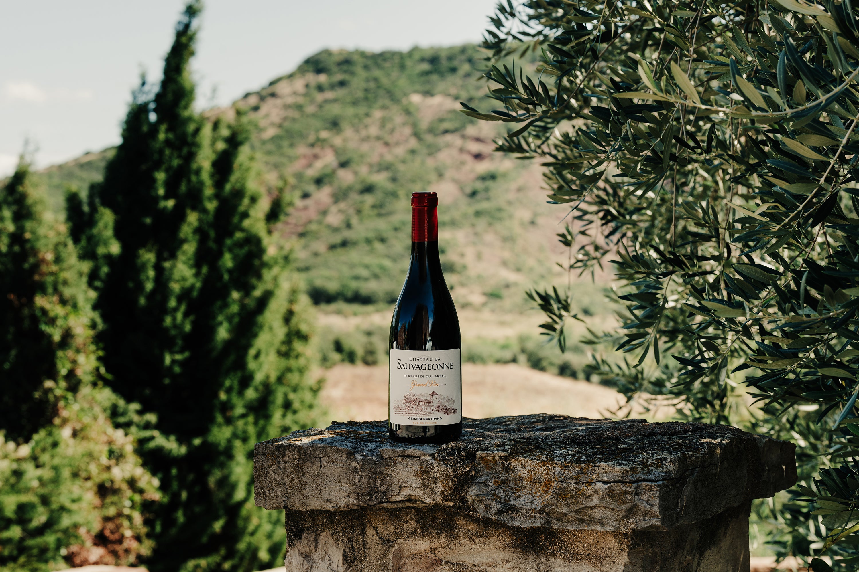 Château La Sauvageonne Grand Vin Rouge 2021 75cl