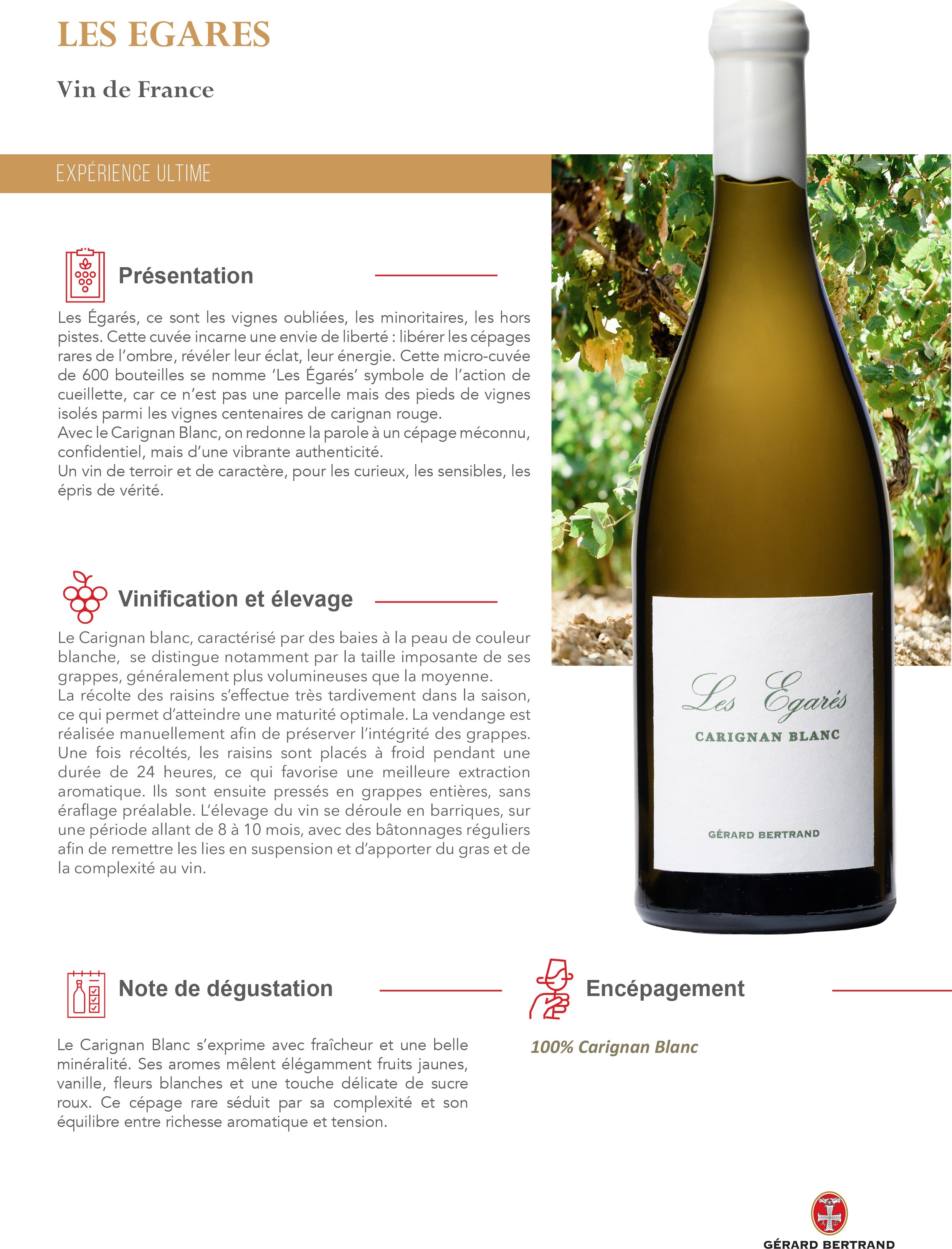 Les Égarés Carignan Blanc 2023 75cl Caisse Bois Unitaire - Gérard Bertrand