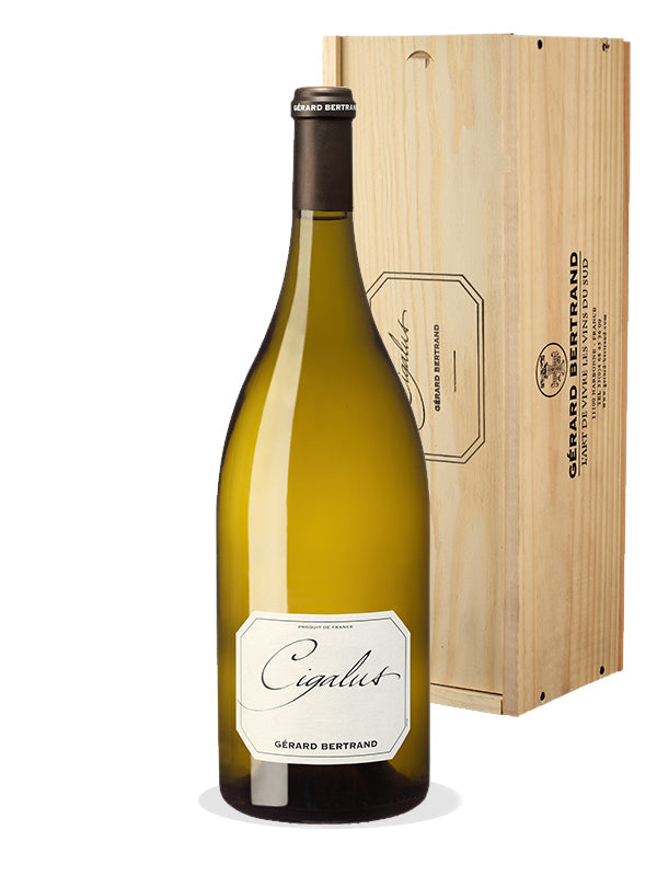 Cigalus Blanc 2019 Magnum