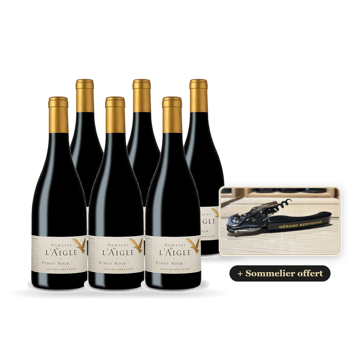 6 Flaschen Domaine de l'Aigle Pinot Noir 2024 mit kostenlosem Gérard Bertrand Sommelier-Korkenzieher