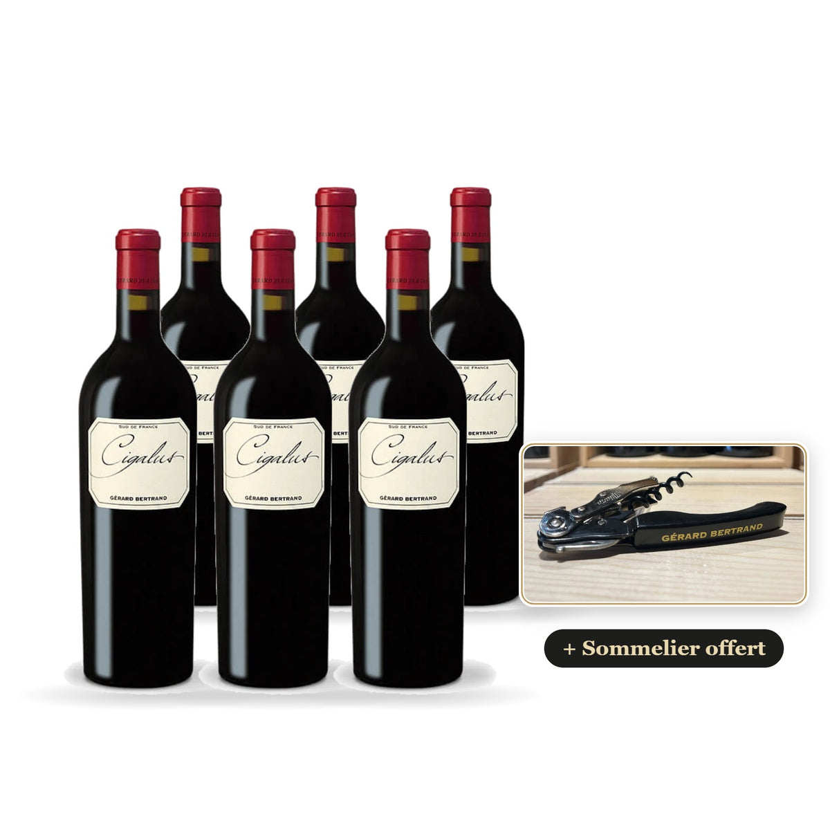 6er-Pack Cigalus Rotwein 2023 mit kostenlosem Gérard Bertrand-Kellnermesser