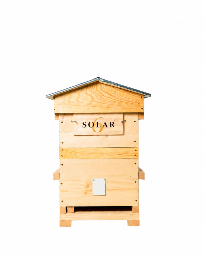 Solar6 Sonderangebot 12 Flaschen 75cl und der Bienenstock
