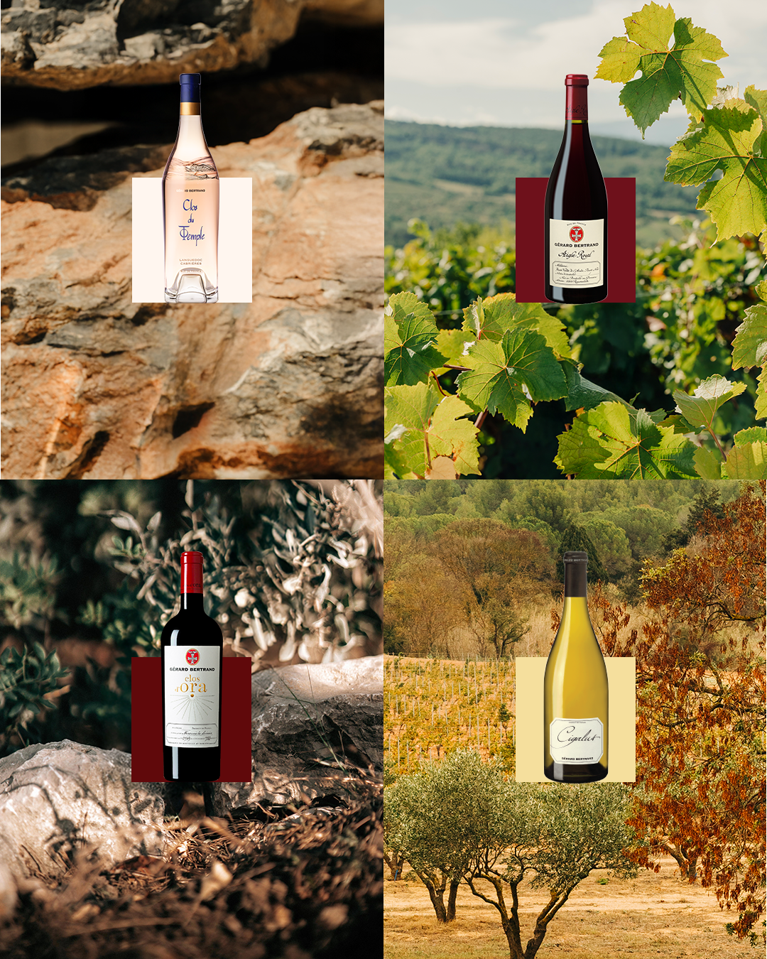 NOS VINS RÉCONFORTANTS POUR LE MOIS DE NOVEMBRE