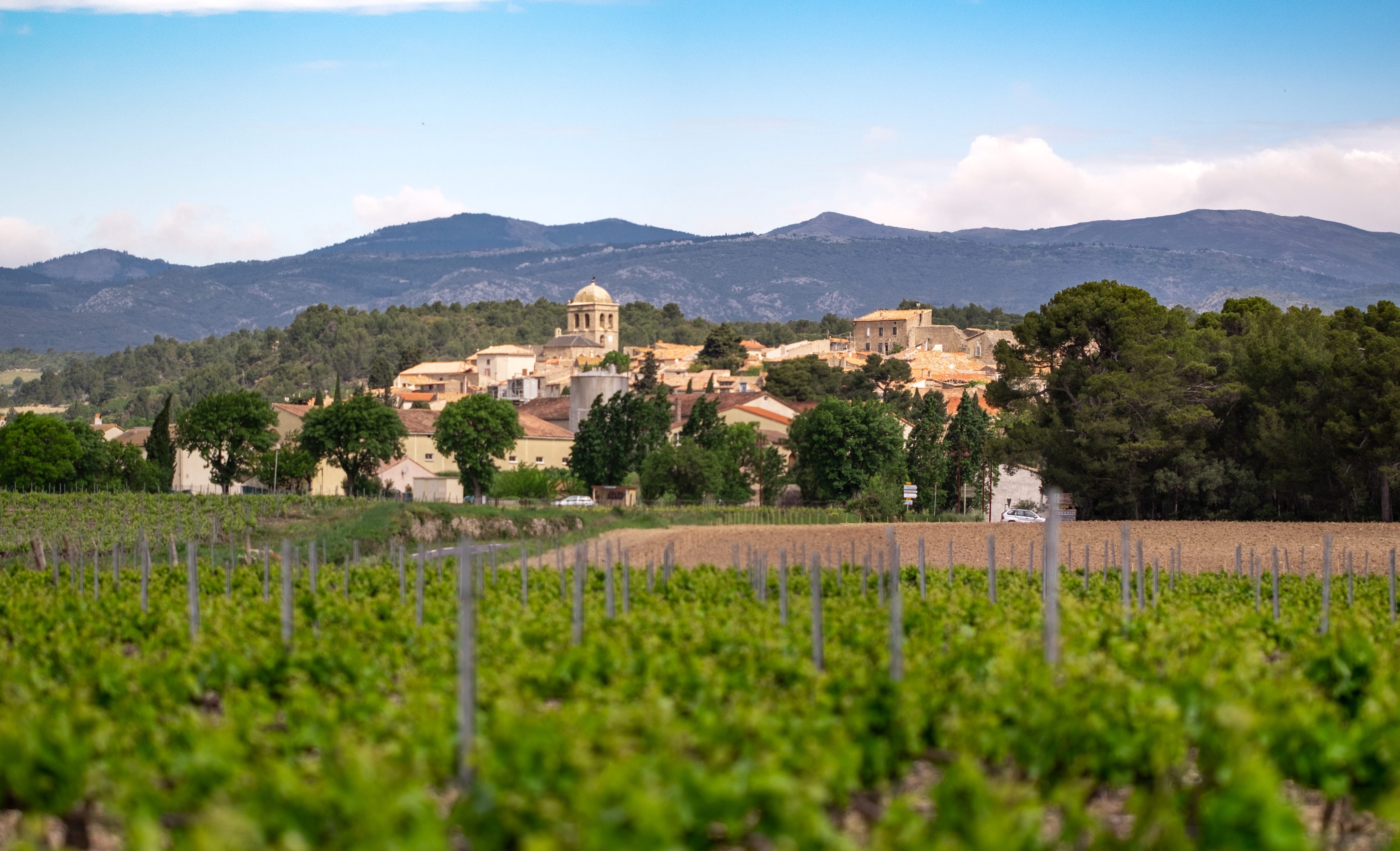 Foire aux vins printemps 2023