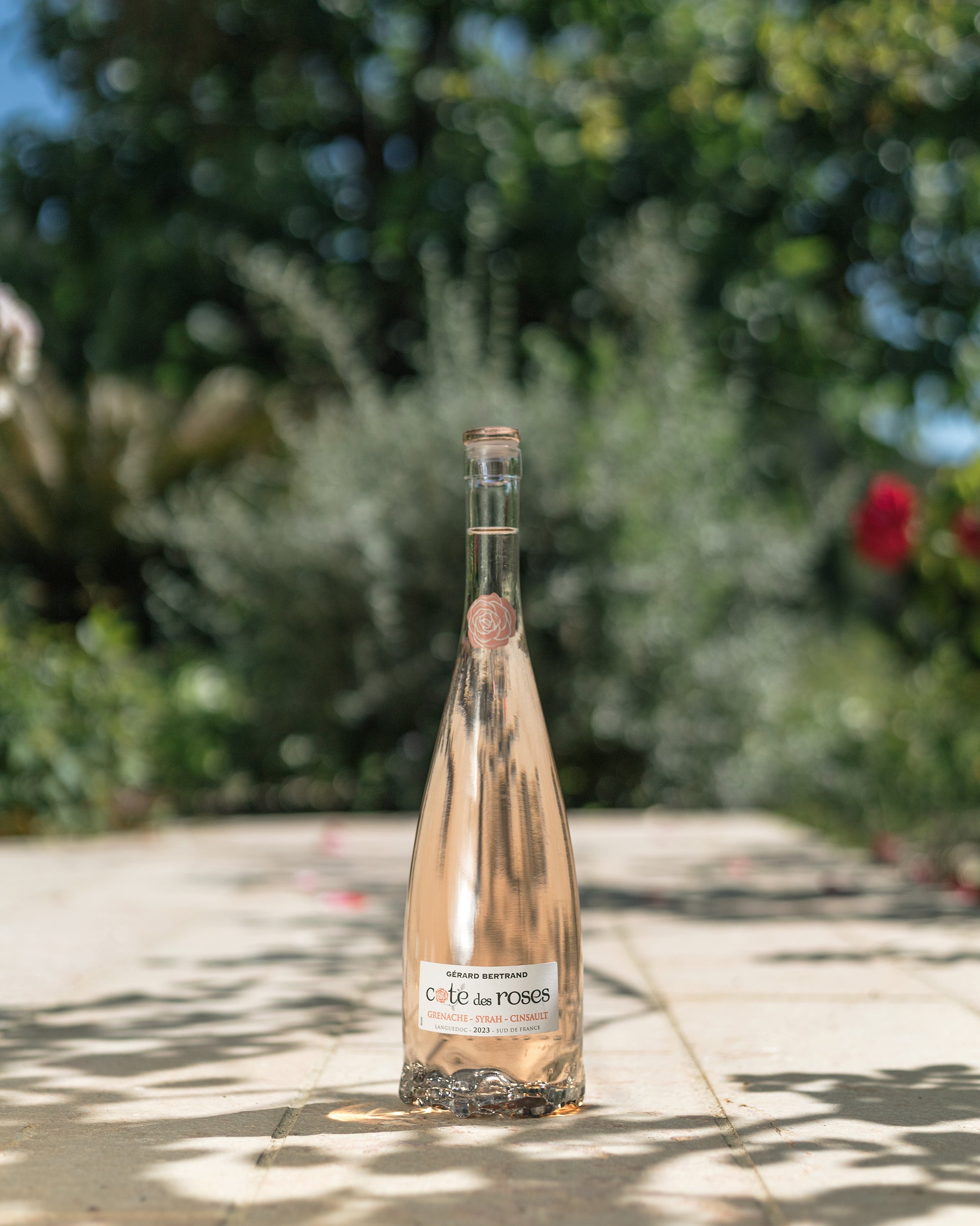 Côte des Roses Roséwein 2024 Charge mit 6 75cl Flaschen