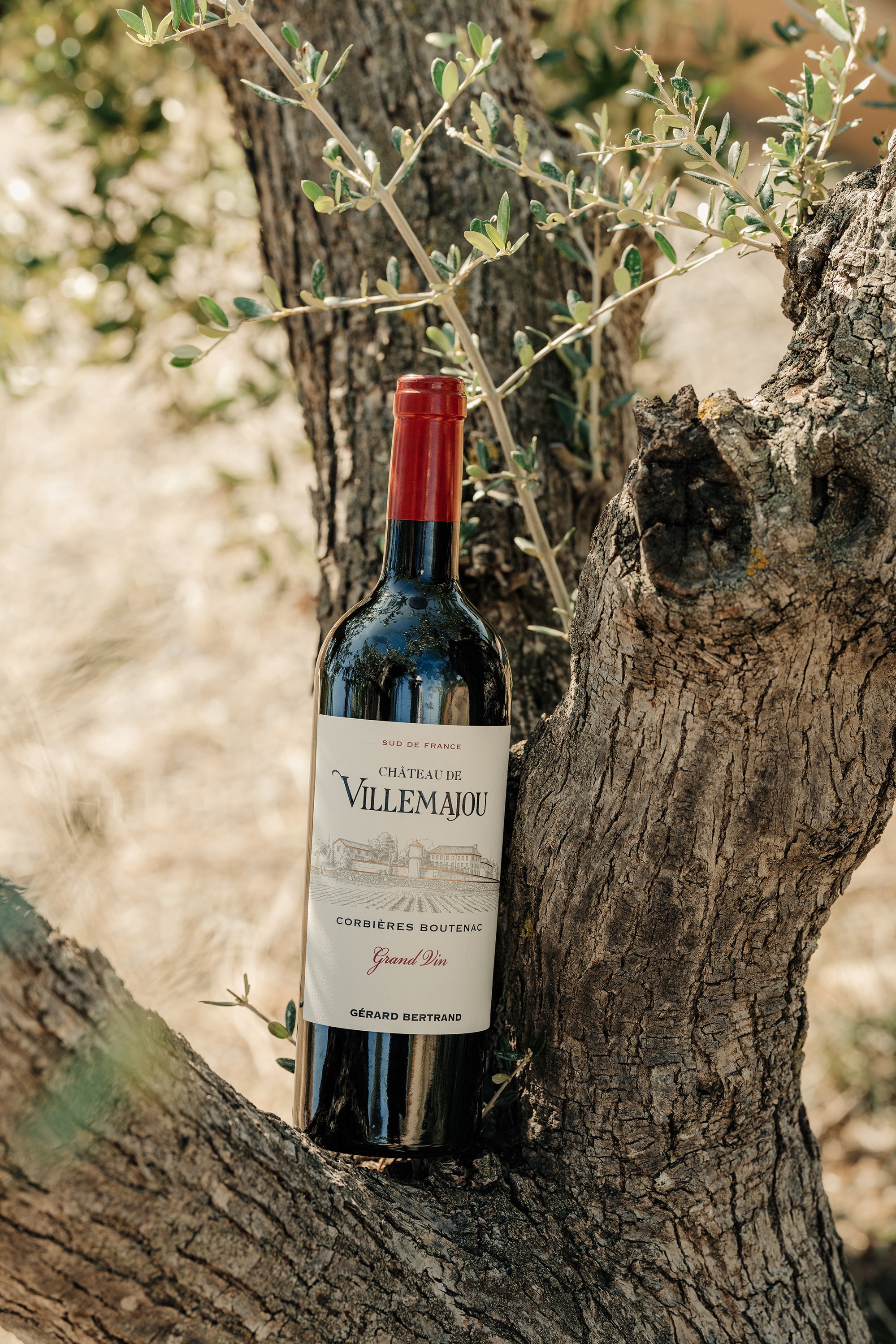 Château de Villemajou Grand Vin Rouge 75cl 2023