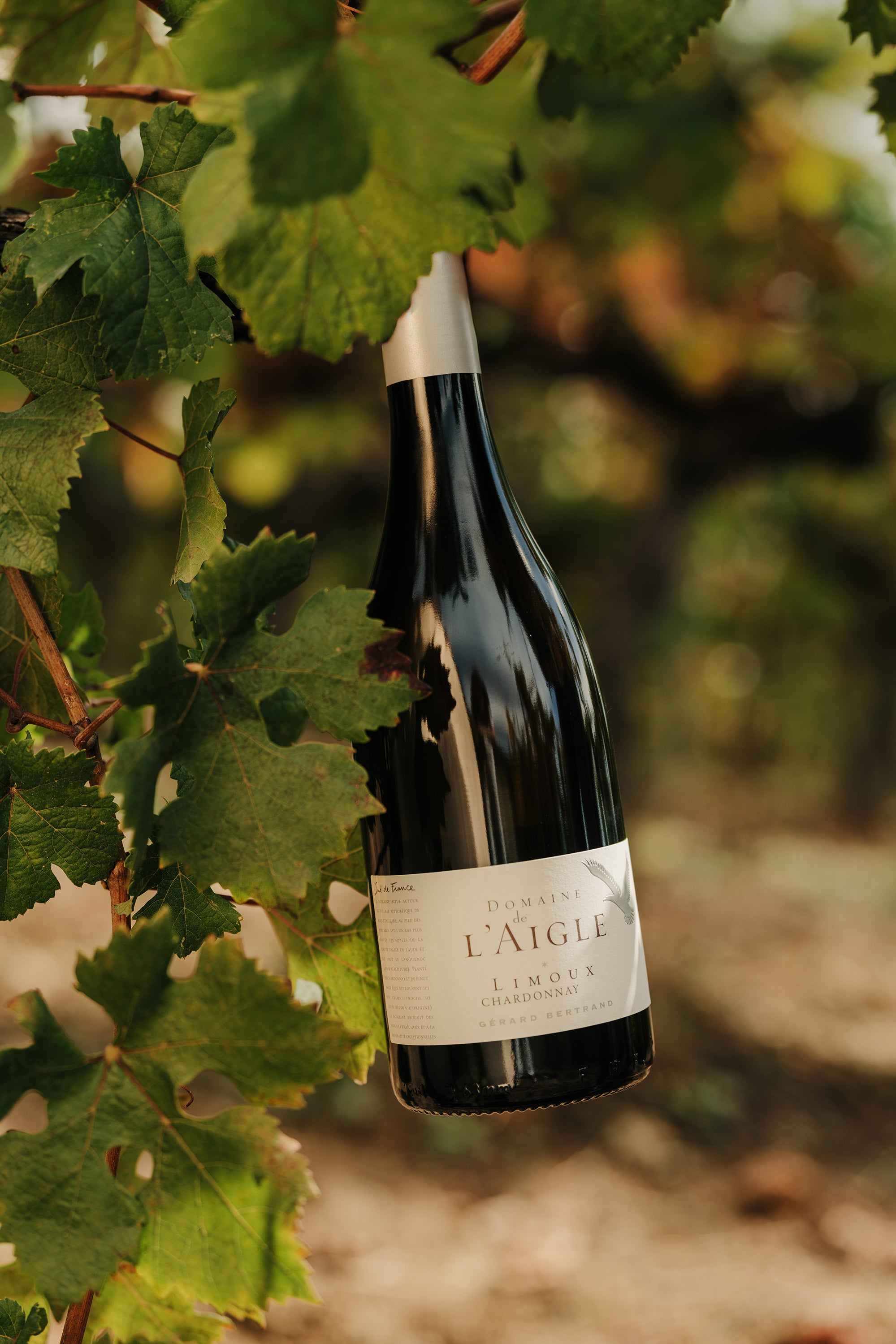 Domaine de l'Aigle Chardonnay 2022 75cl