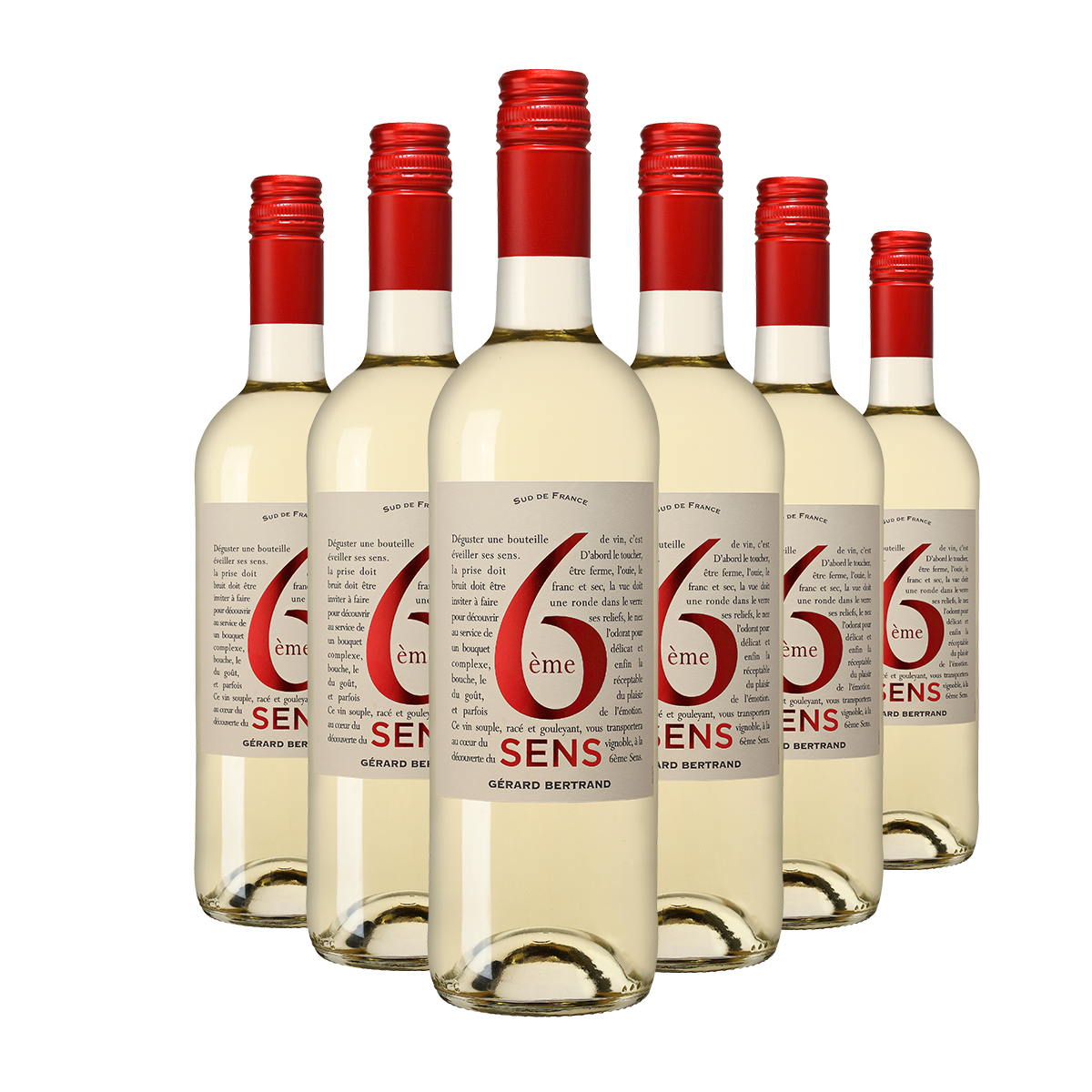 6ème Sens Bio Weißwein 2024 Charge mit 6 Flaschen 75cl