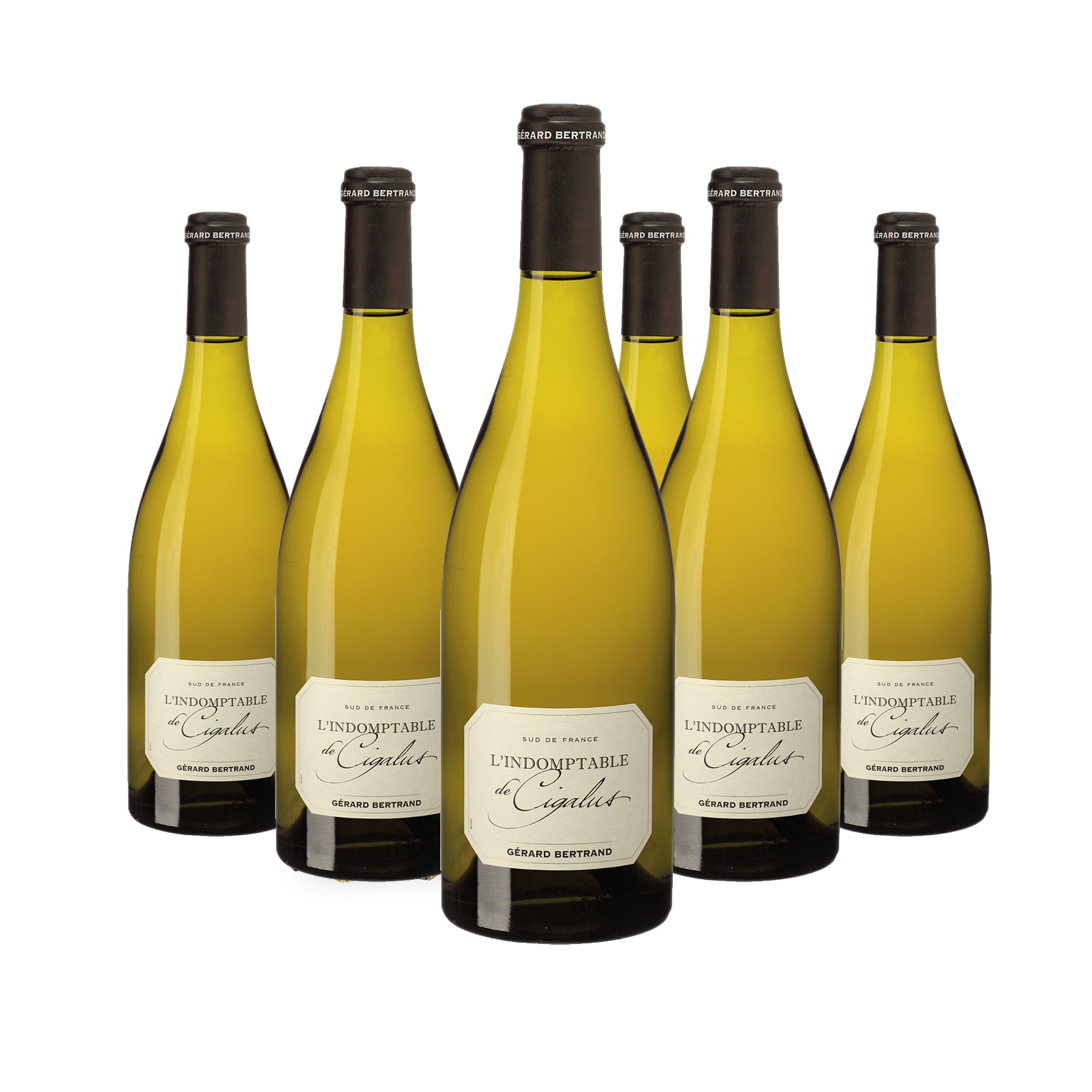 Indomptable de Cigalus vin  blanc bio 2024 Lot 6 bouteilles 75cl - Gérard Bertrand 