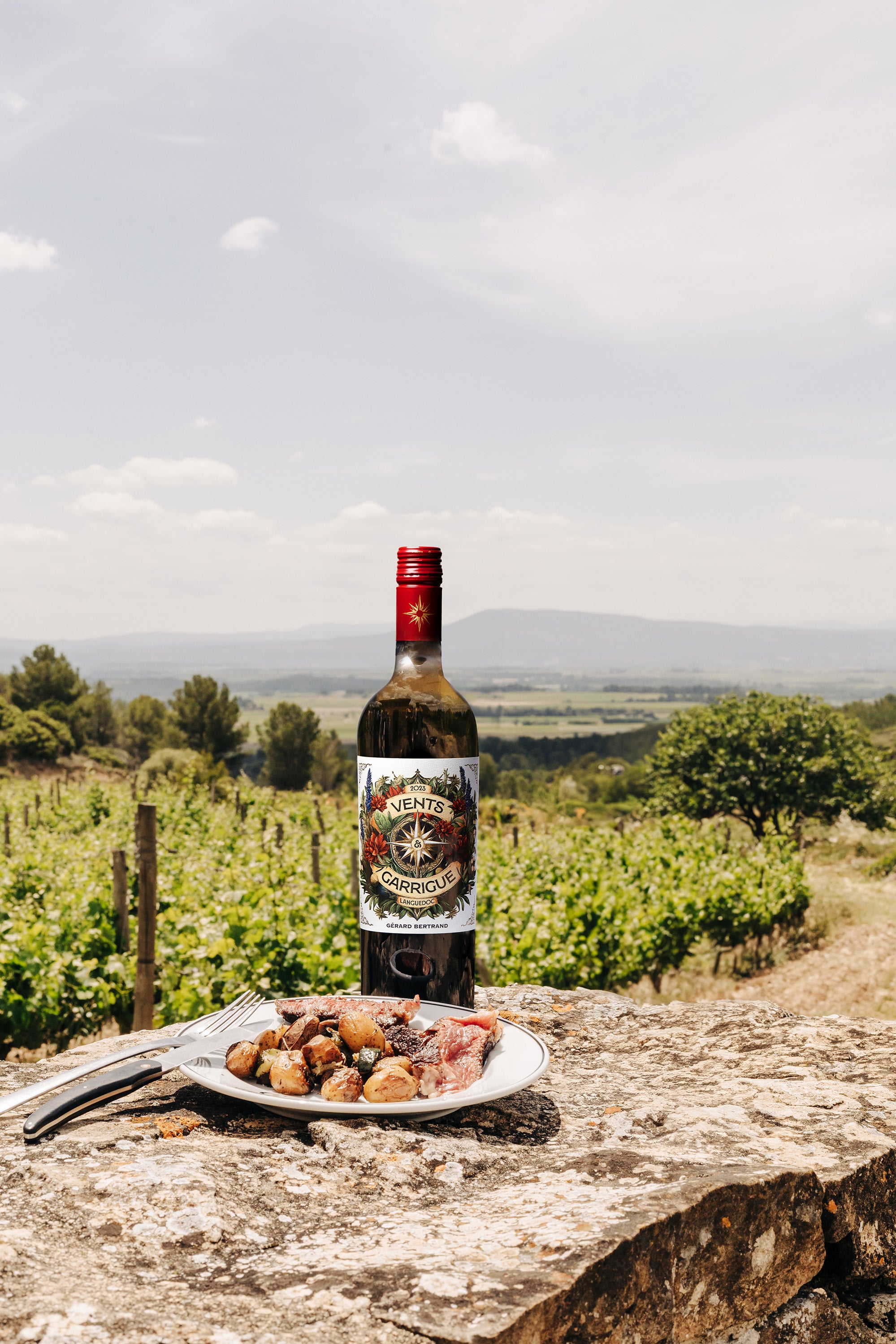 Vents & Garrigue Bio-Rotwein 2023 Charge mit 6 Flaschen 75cl