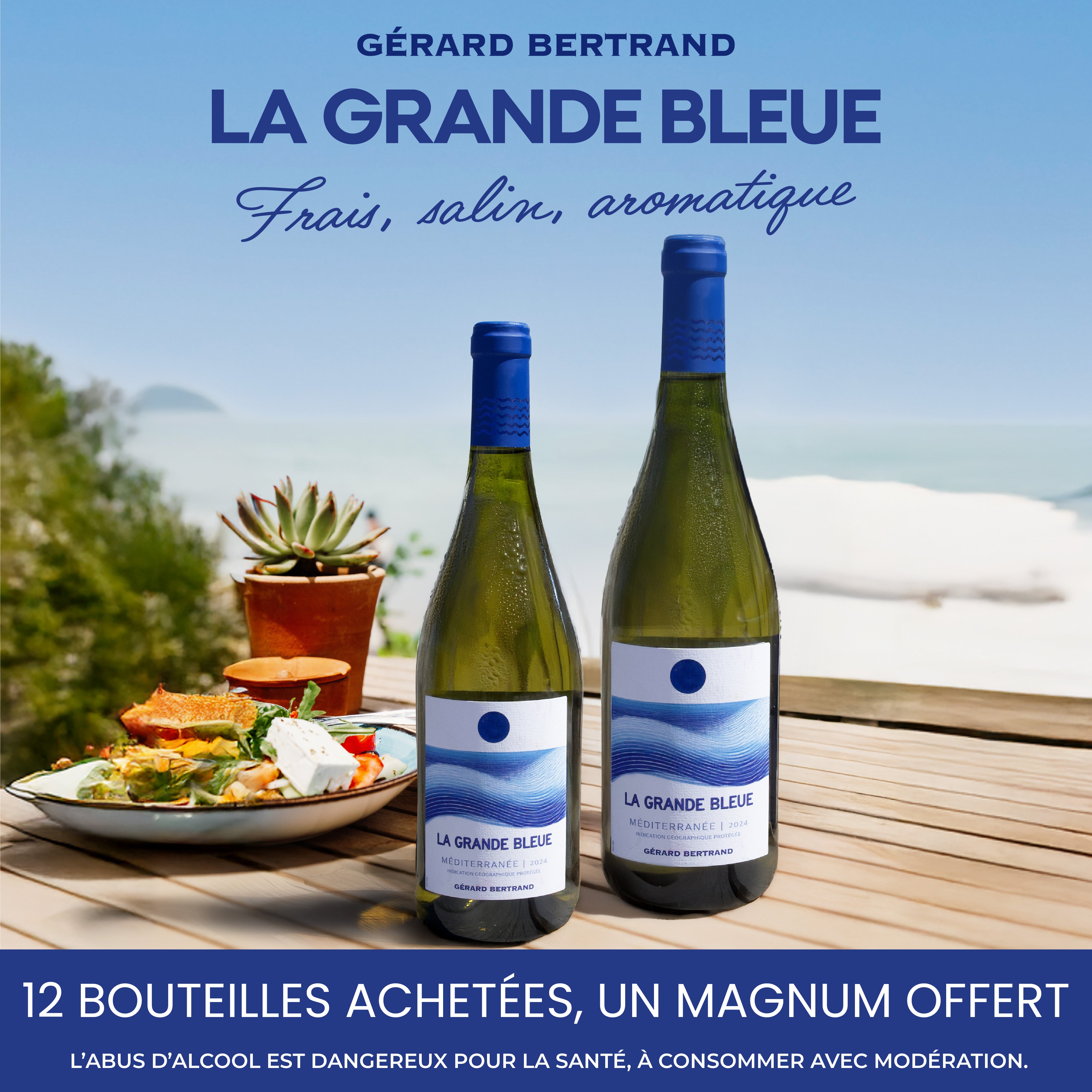 La Grande Bleue 2024 vin blanc bio Offre Spéciale 12 Bouteilles 75cl et Magnum Offert