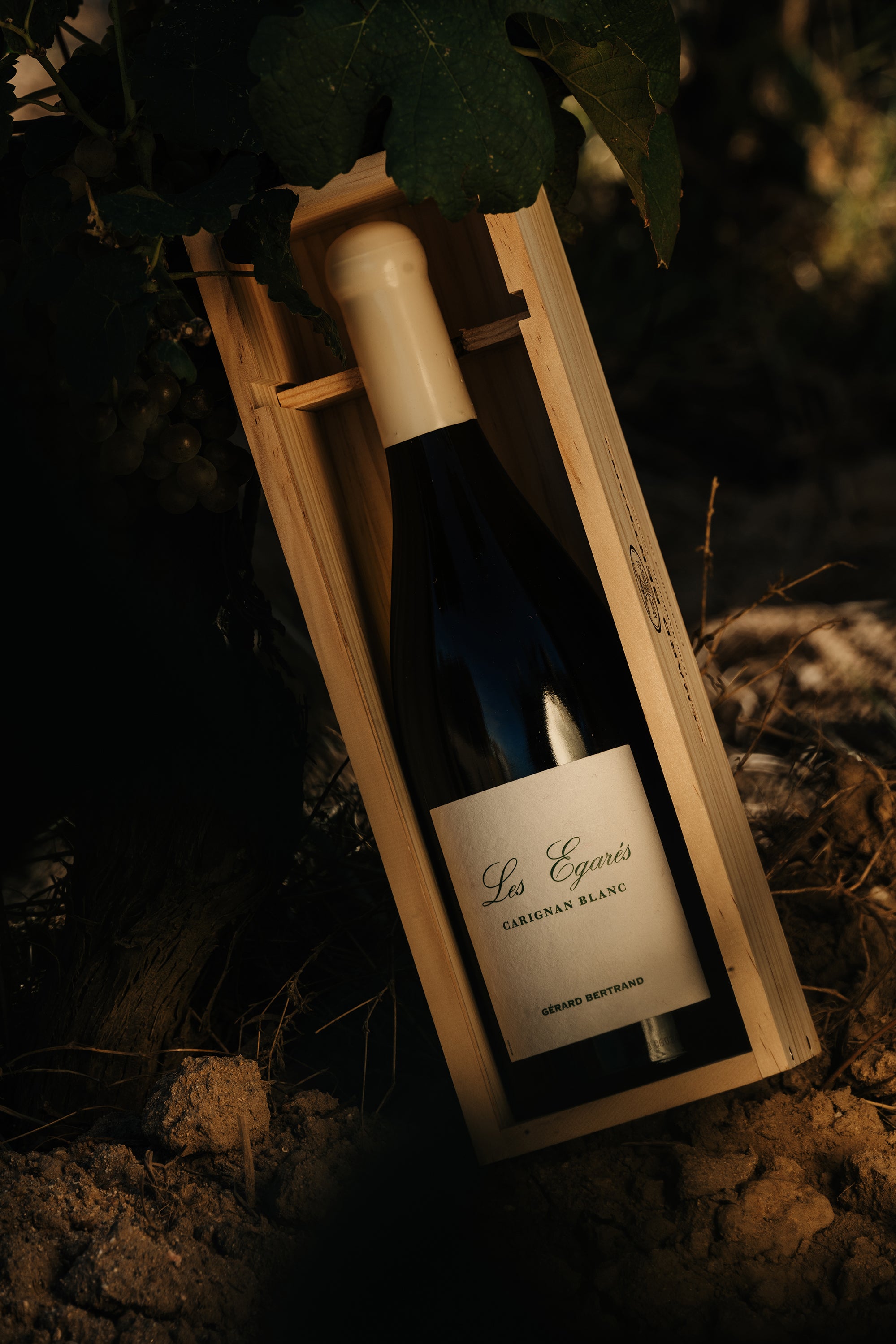 Les Égarés Carignan Blanc 2023 75cl Caisse Bois Unitaire