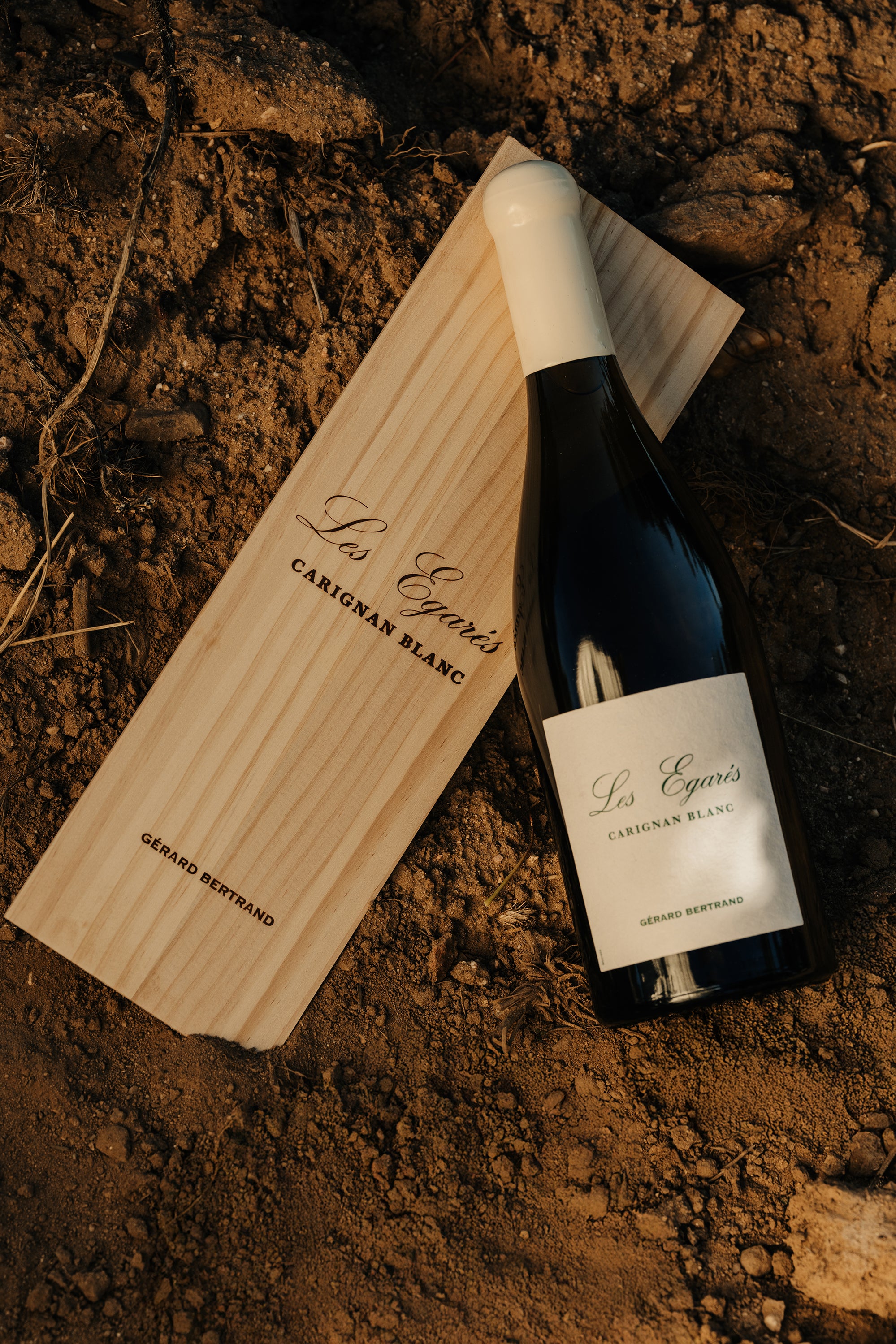 Les Égarés Carignan Blanc 2023 75cl Caisse Bois Unitaire