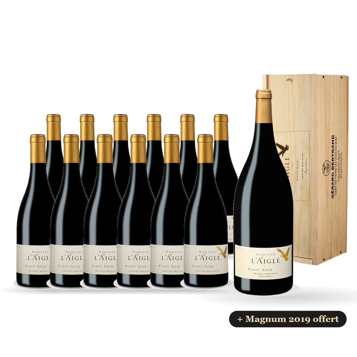 12er-Set Domaine de l'Aigle Pinot Noir 2024 mit einem Magnum 2019 gratis