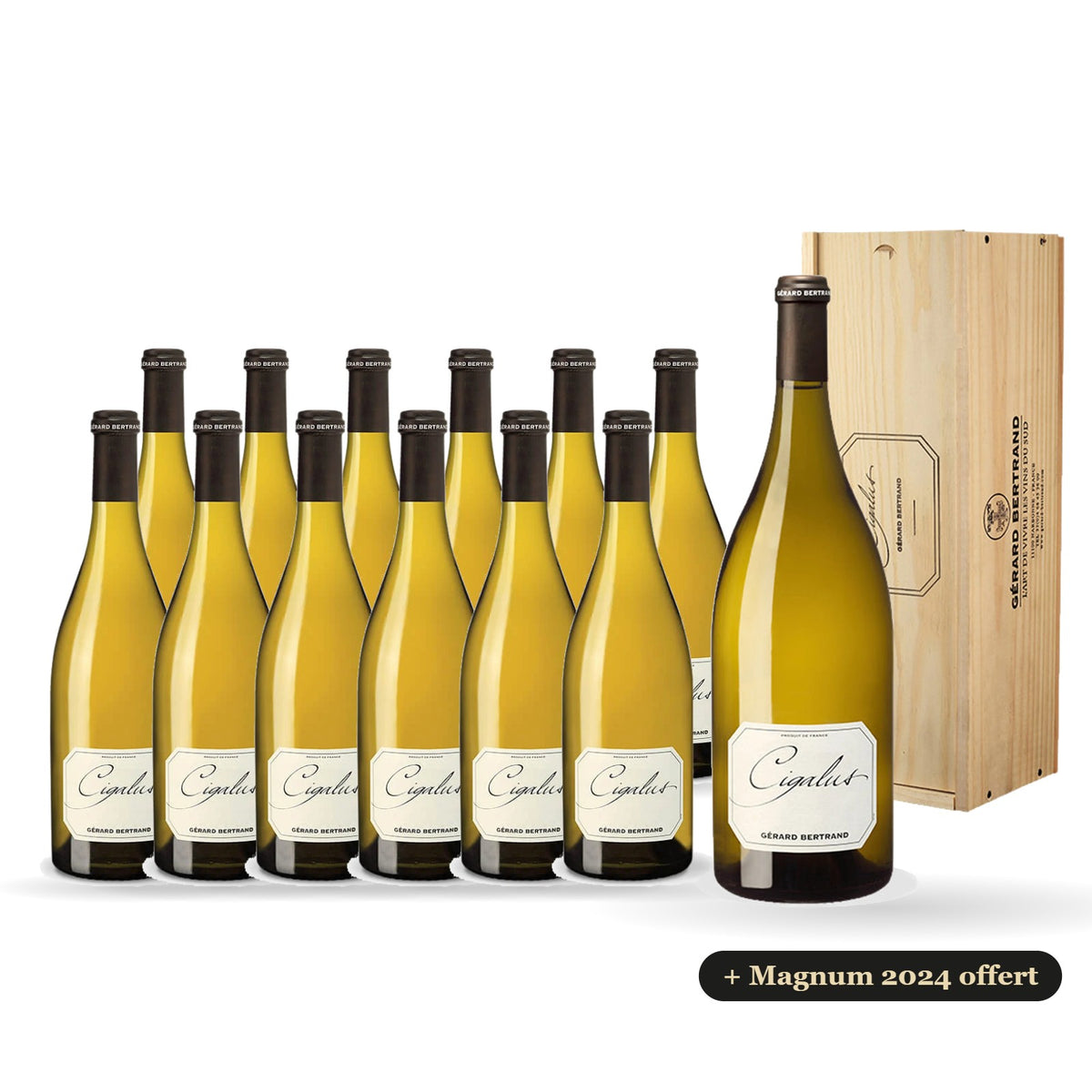 12er-Pack Cigalus Weißwein 2025 mit einer kostenlosen Magnumflasche Cigalus Weißwein 2024