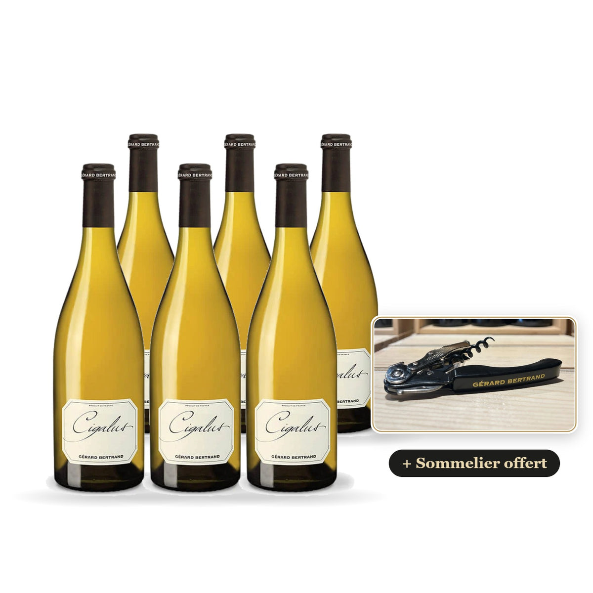 6er-Pack Cigalus Weißwein 2025 mit kostenlosem Gérard Bertrand-Kellnermesser
