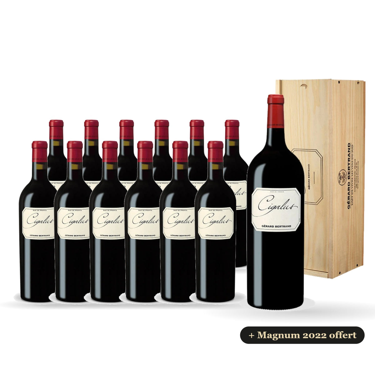 12er-Pack Cigalus Rotwein 2023 mit einer kostenlosen Magnumflasche Cigalus Rotwein 2022 in einer Holzkiste