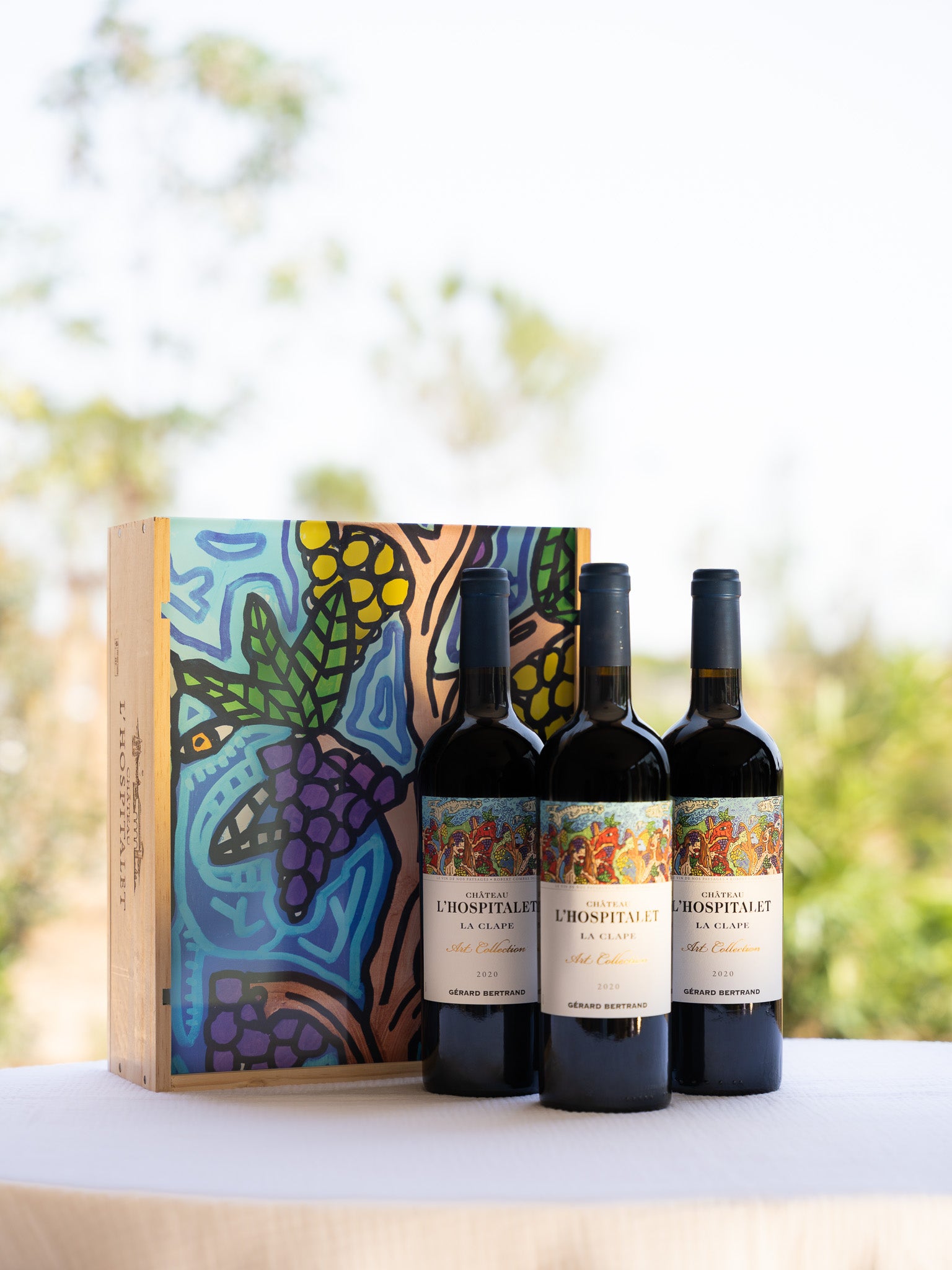 CHÂTEAU L’HOSPITALET KUNSTSAMMLUNG 2020 – "DER WEIN UNSERER LANDSCHAFTEN“ ROBERT COMBAS