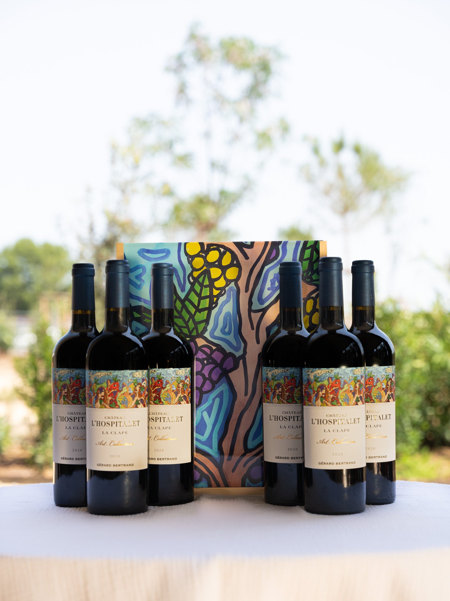 CHÂTEAU L’HOSPITALET KUNSTSAMMLUNG 2020 – "DER WEIN UNSERER LANDSCHAFTEN“ ROBERT COMBAS
