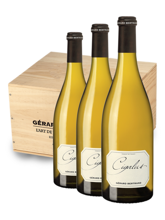 Domaine de Cigalus Blanc 2022 - Caisse Bois 6 bouteilles